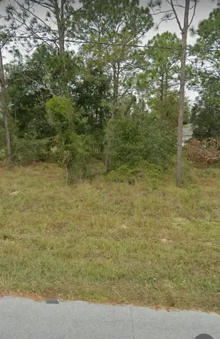W Country Club Drive Williston FL 32696