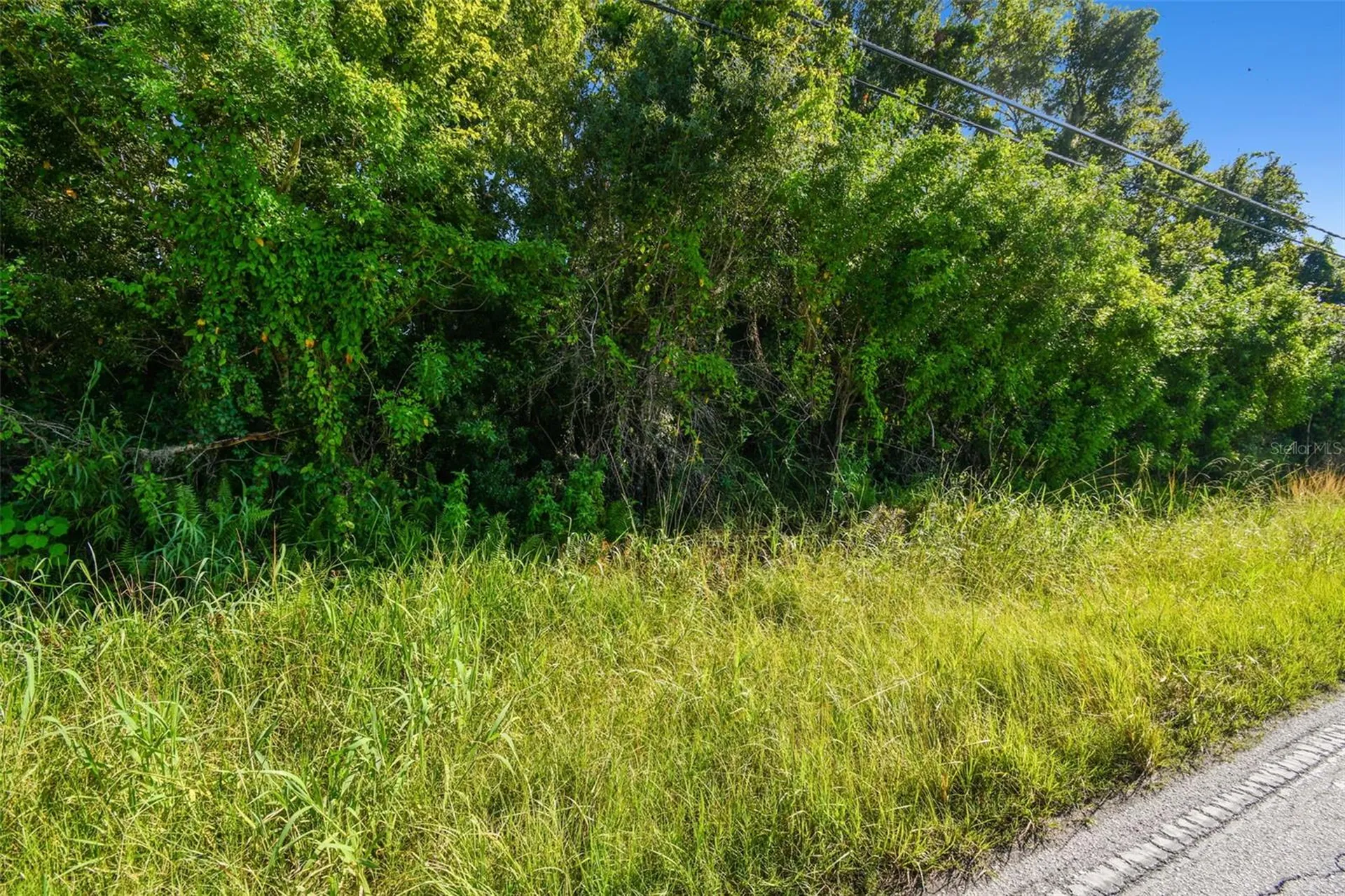 11632 Bill Tucker Road Wimauma FL 33598