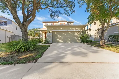 19538 Timberbluff Drive Land O Lakes FL 34638