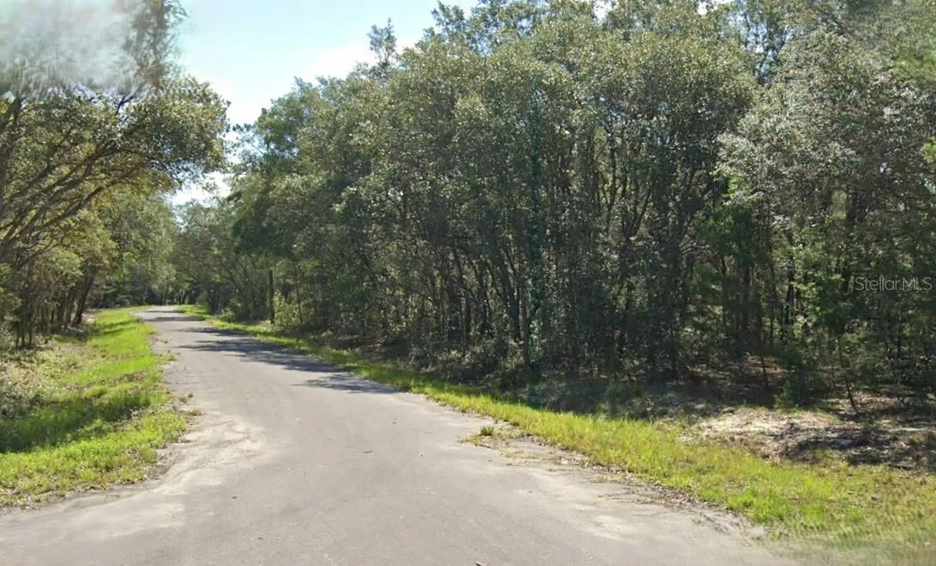 Fisher Way Drive Ocklawaha FL 32179