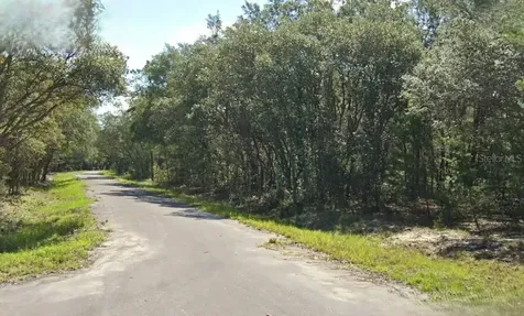 Fisher Way Drive Ocklawaha FL 32179