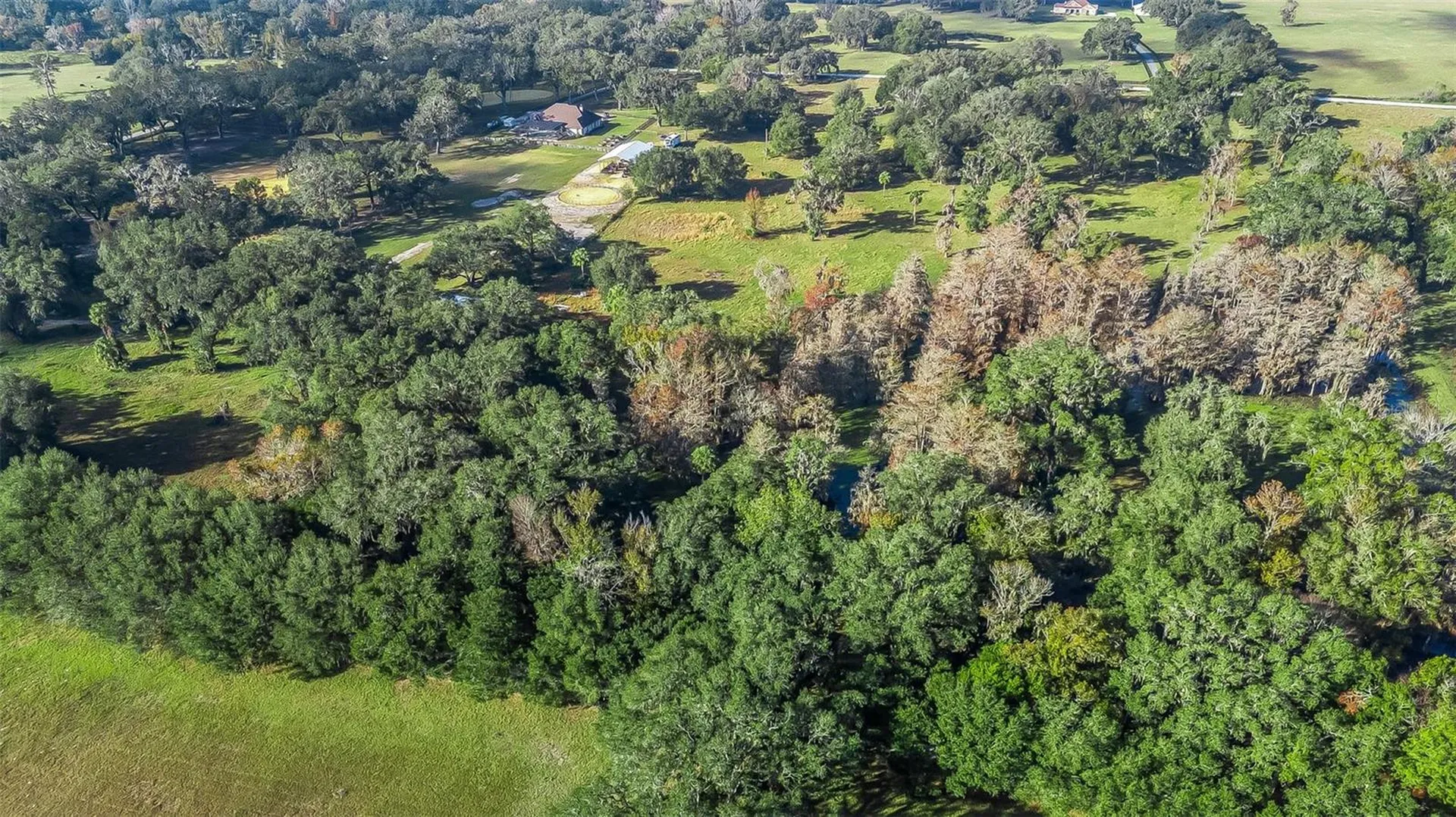 Tract 3 - Cr 221 Wildwood FL 34785