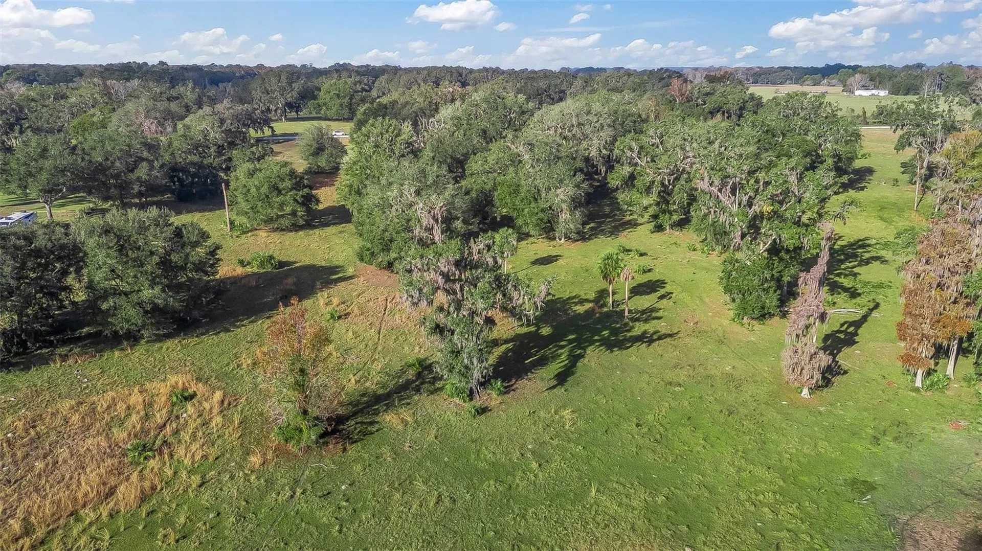 Tract 3 - Cr 221 Wildwood FL 34785