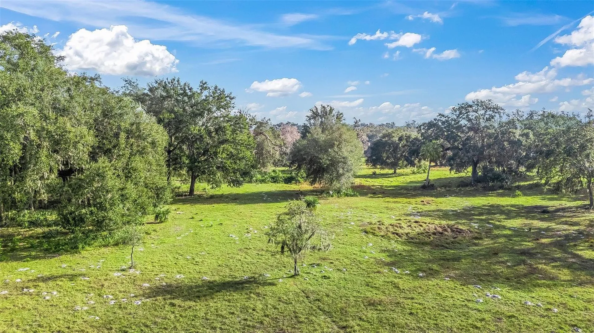 Tract 3 - Cr 221 Wildwood FL 34785