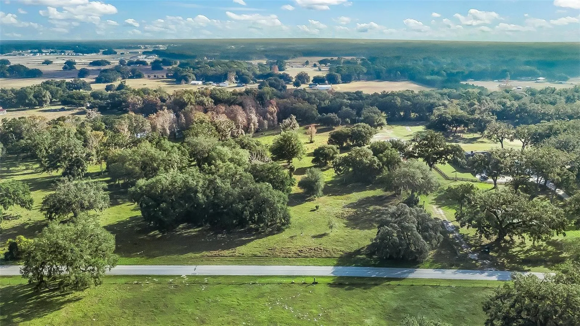 Tract 3 - Cr 221 Wildwood FL 34785