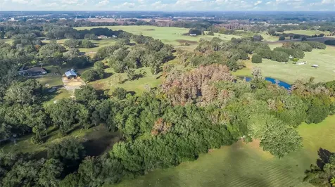Tract 3 - Cr 221 Wildwood FL 34785
