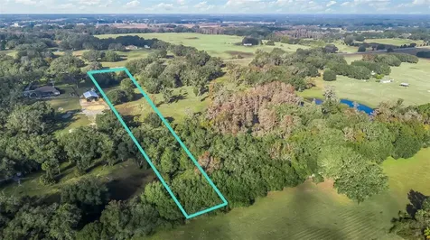 Tract 3 - Cr 221 Wildwood FL 34785