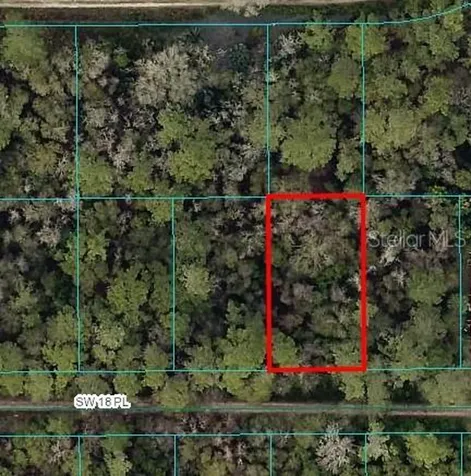 Tbd SW 18th Place Ocala FL 34481