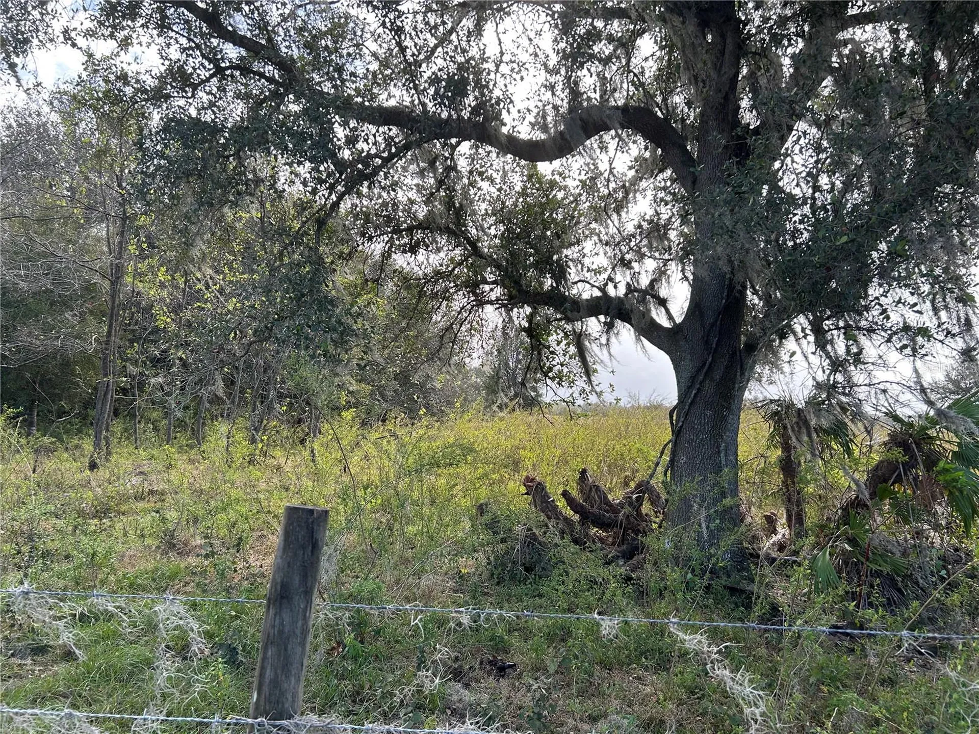 SR-64 Zolfo Springs FL 33890