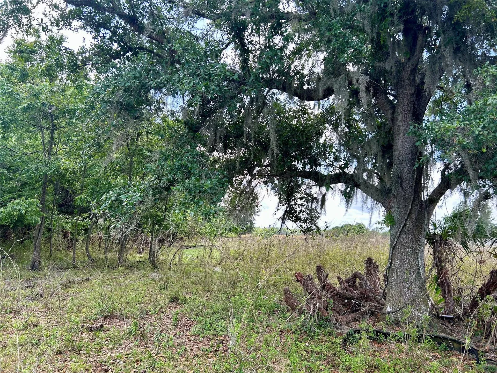 SR-64 Zolfo Springs FL 33890