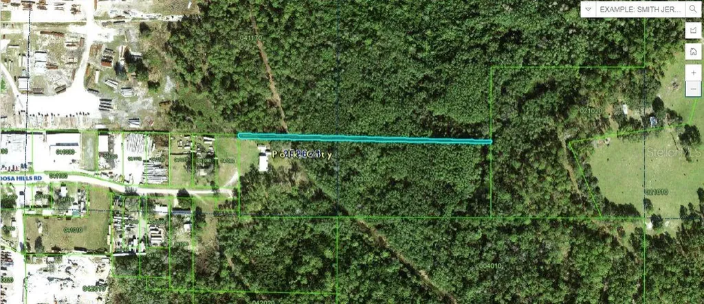 Appaloosa Hill Road Polk City FL 33868