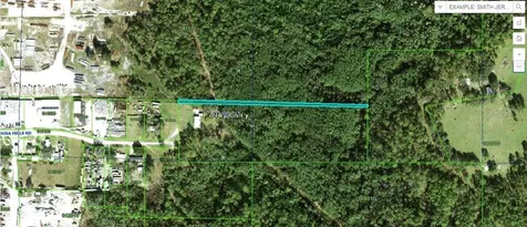 Appaloosa Hill Road Polk City FL 33868