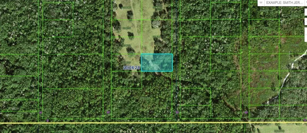 Commonwealth Avenue N Polk City FL 33868