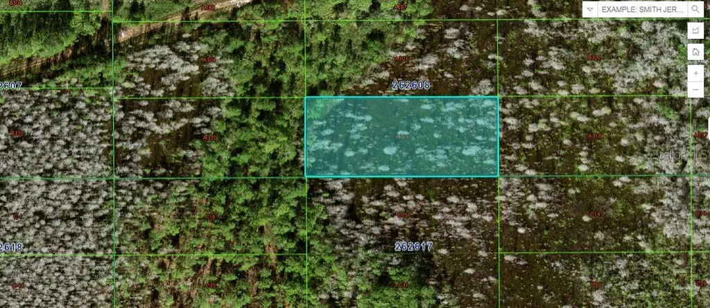 Sweet Hill Road Polk City FL 33868