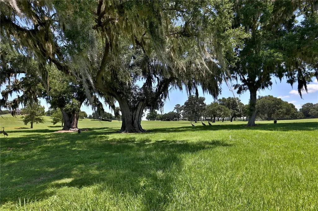 6800 SE 193rd Street Micanopy FL 32667