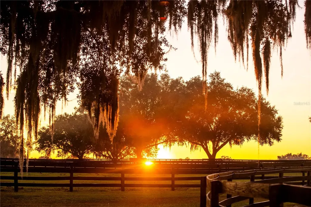 6800 SE 193rd Street Micanopy FL 32667