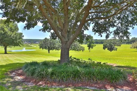 6800 SE 193rd Street Micanopy FL 32667