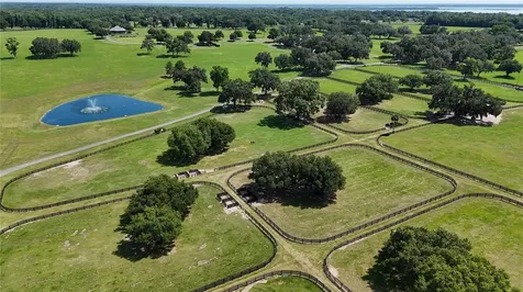 6800 SE 193rd Street Micanopy FL 32667