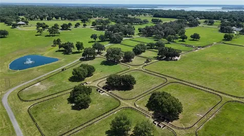 6800 SE 193rd Street Micanopy FL 32667