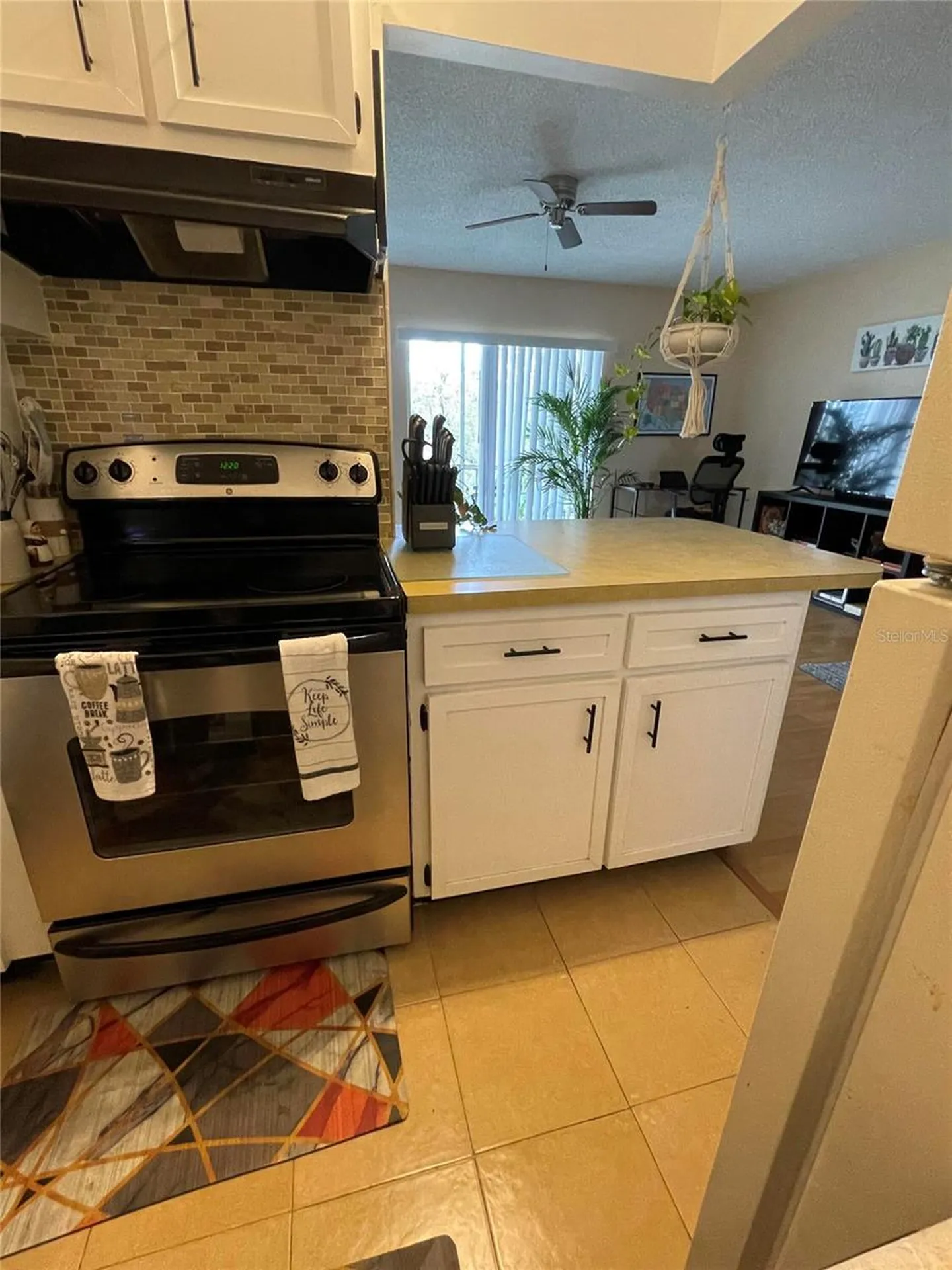 239 S Mcmullen Booth Road Clearwater FL 33759