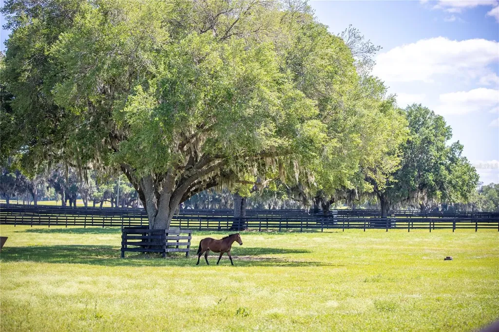 6500A NW 193rd Street Micanopy FL 32667