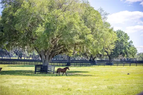 6500A NW 193rd Street Micanopy FL 32667