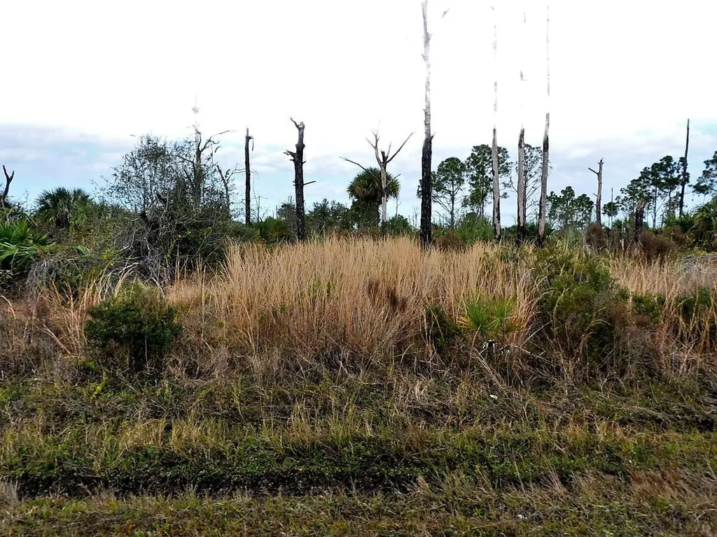 Lot 17 Ewen Circle North Port FL 34288