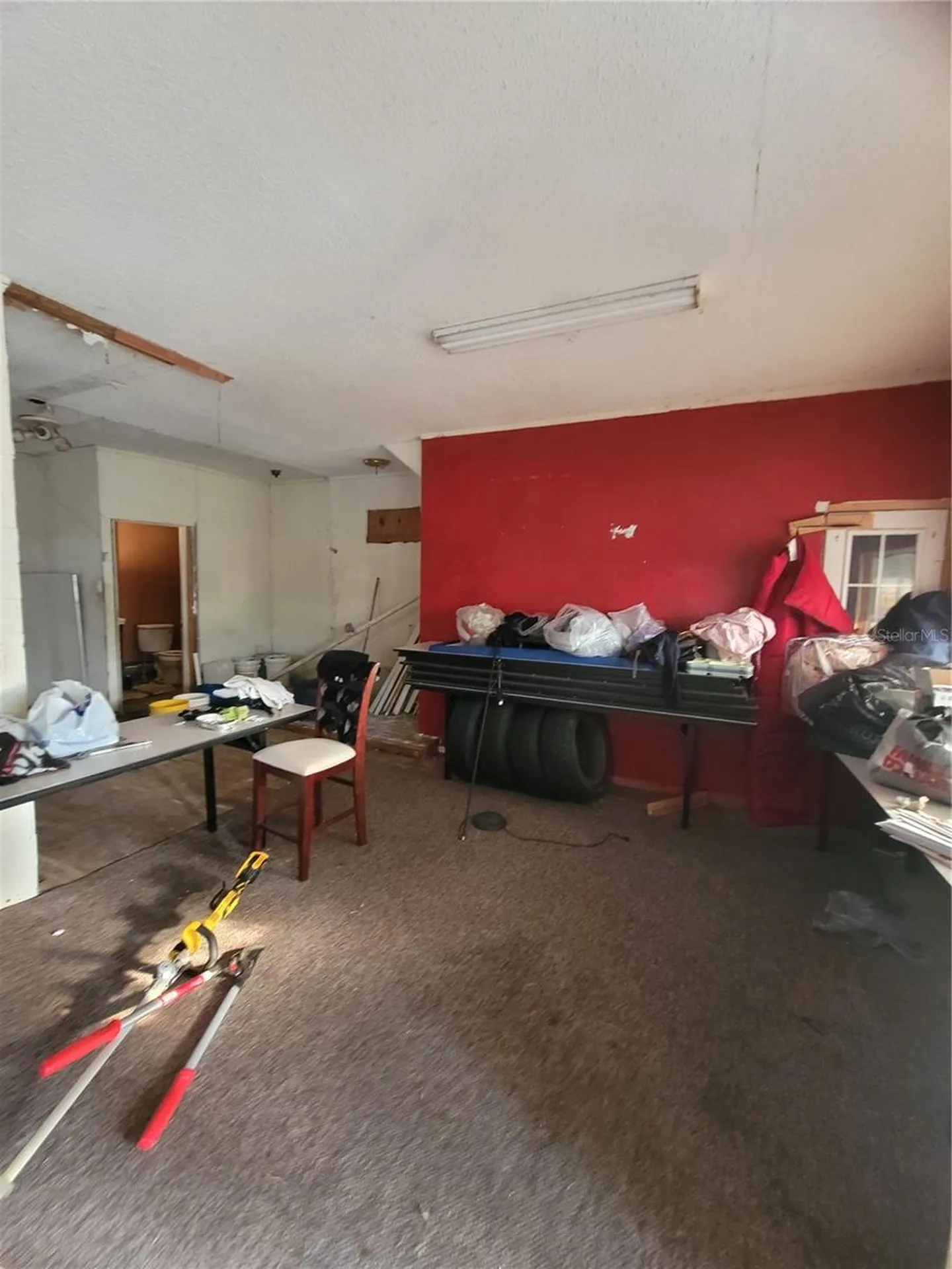 7491 NE Us- 41 Williston FL 32696