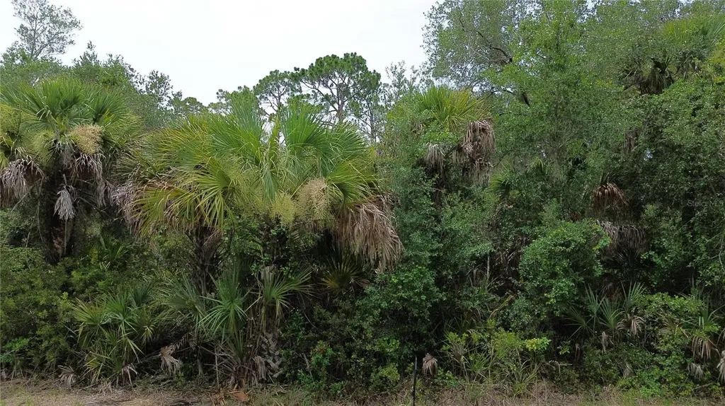 14059 Hughes Avenue Port Charlotte FL 33953
