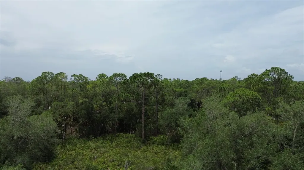 14059 Hughes Avenue Port Charlotte FL 33953