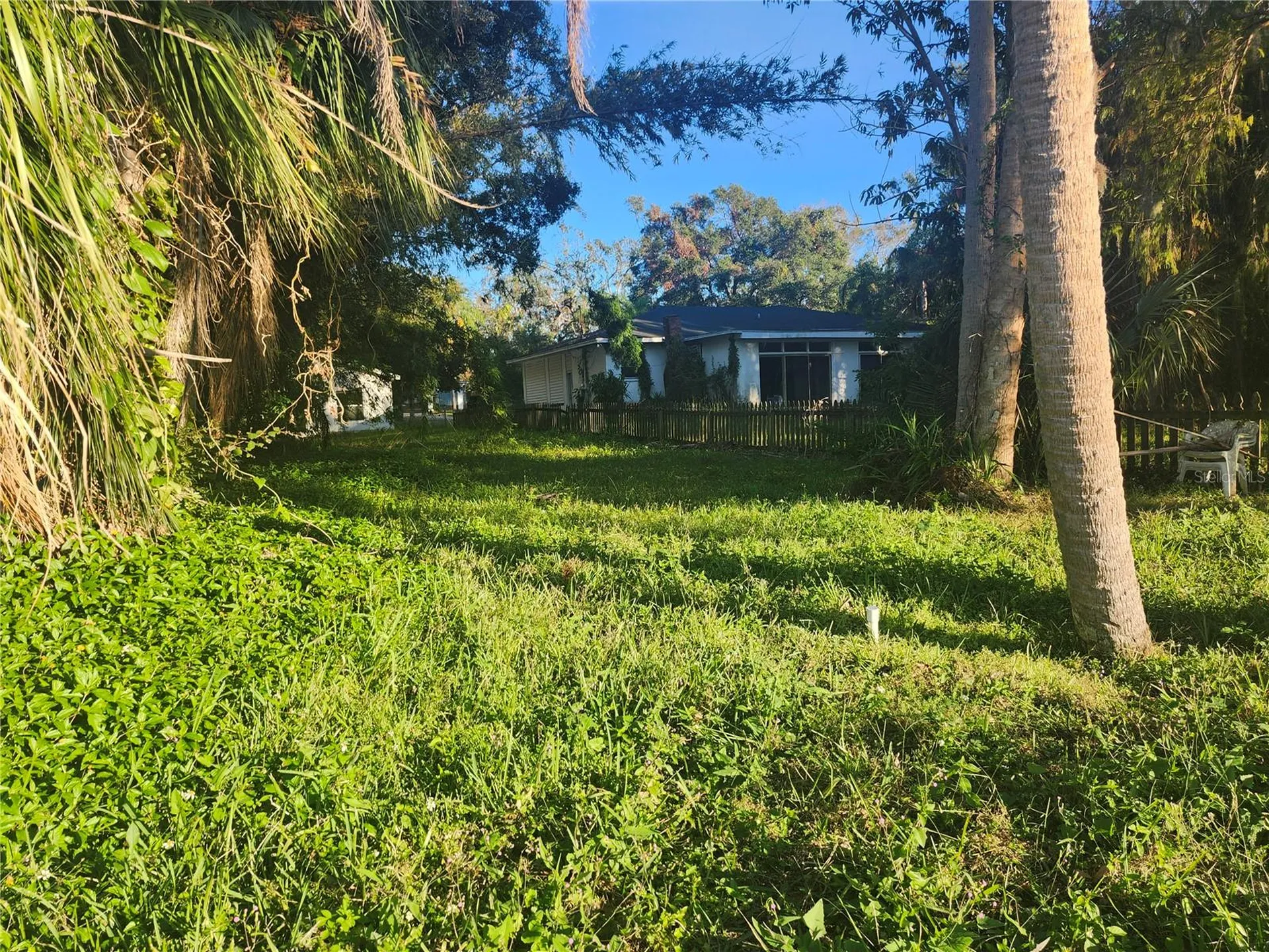 7222 N Ola Avenue Tampa FL 33604