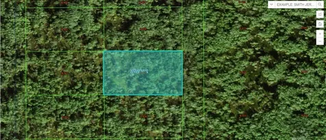Commonwealth Avenue N Polk City FL 33868