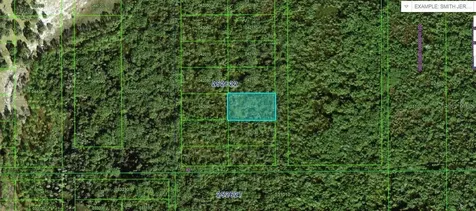 Commonwealth Avenue N Polk City FL 33868
