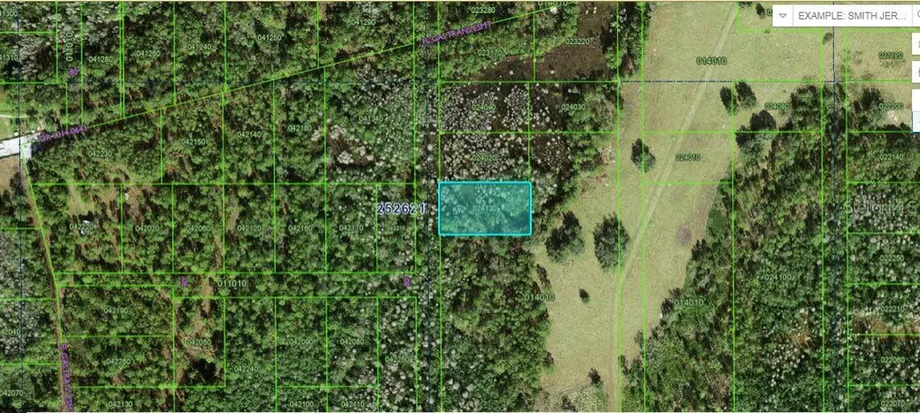 Commonwealth Avenue N Polk City FL 33868