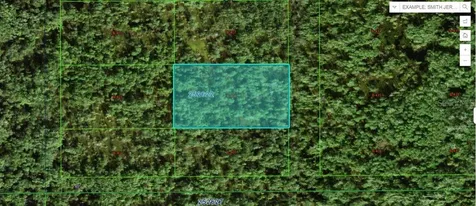 Commonwealth Avenue N Polk City FL 33868