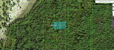 Commonwealth Avenue N Polk City FL 33868