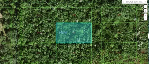 Commonwealth Avenue N Polk City FL 33868