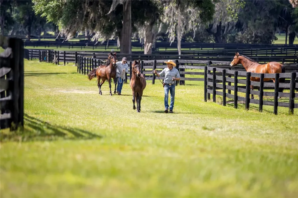6800 & 6500 NW 193rd Street Micanopy FL 32667