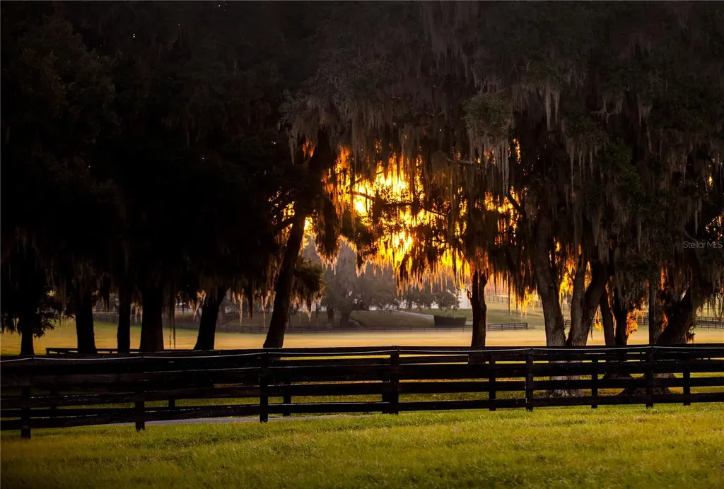 6800 & 6500 NW 193rd Street Micanopy FL 32667