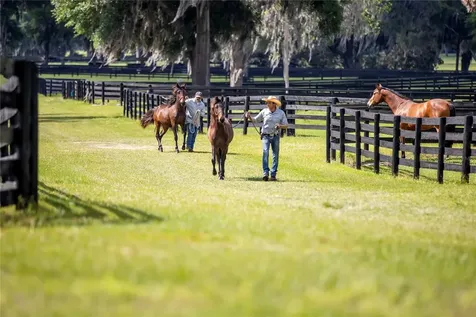 6800 & 6500 NW 193rd Street Micanopy FL 32667