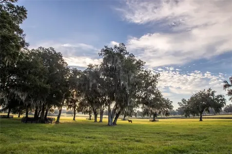 6800 & 6500 NW 193rd Street Micanopy FL 32667