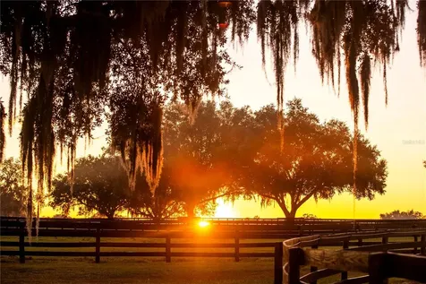 6800 & 6500 NW 193rd Street Micanopy FL 32667