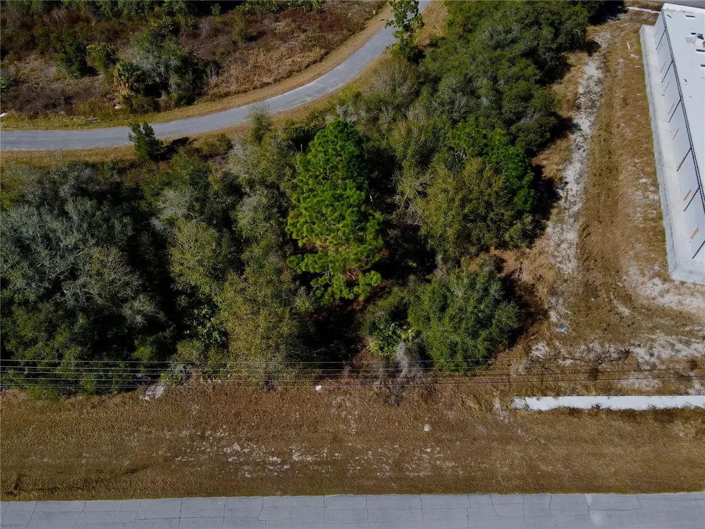1605 Marlin Drive Poinciana FL 34759