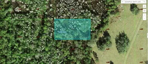 Commonwealth Avenue N Polk City FL 33868