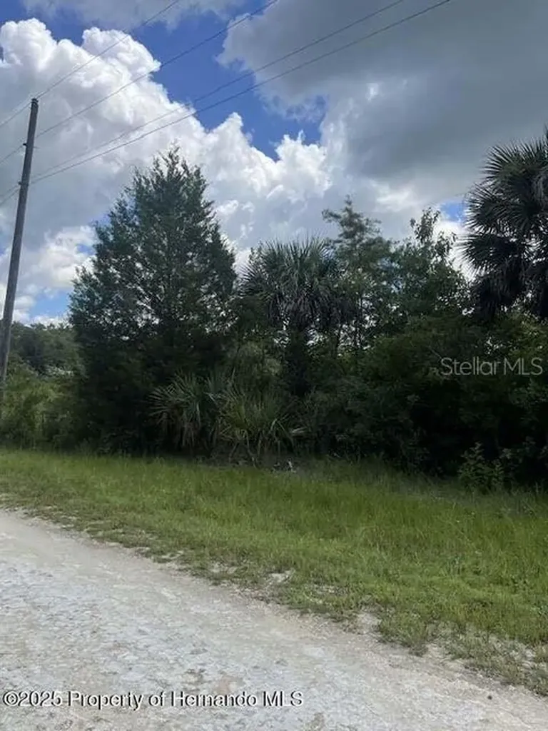 00 Ramsey Road Brooksville FL 34614