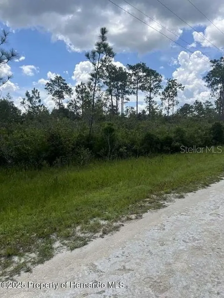 00 Ramsey Road Brooksville FL 34614