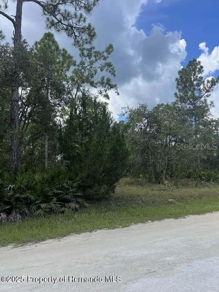 00 Ramsey Road Brooksville FL 34614