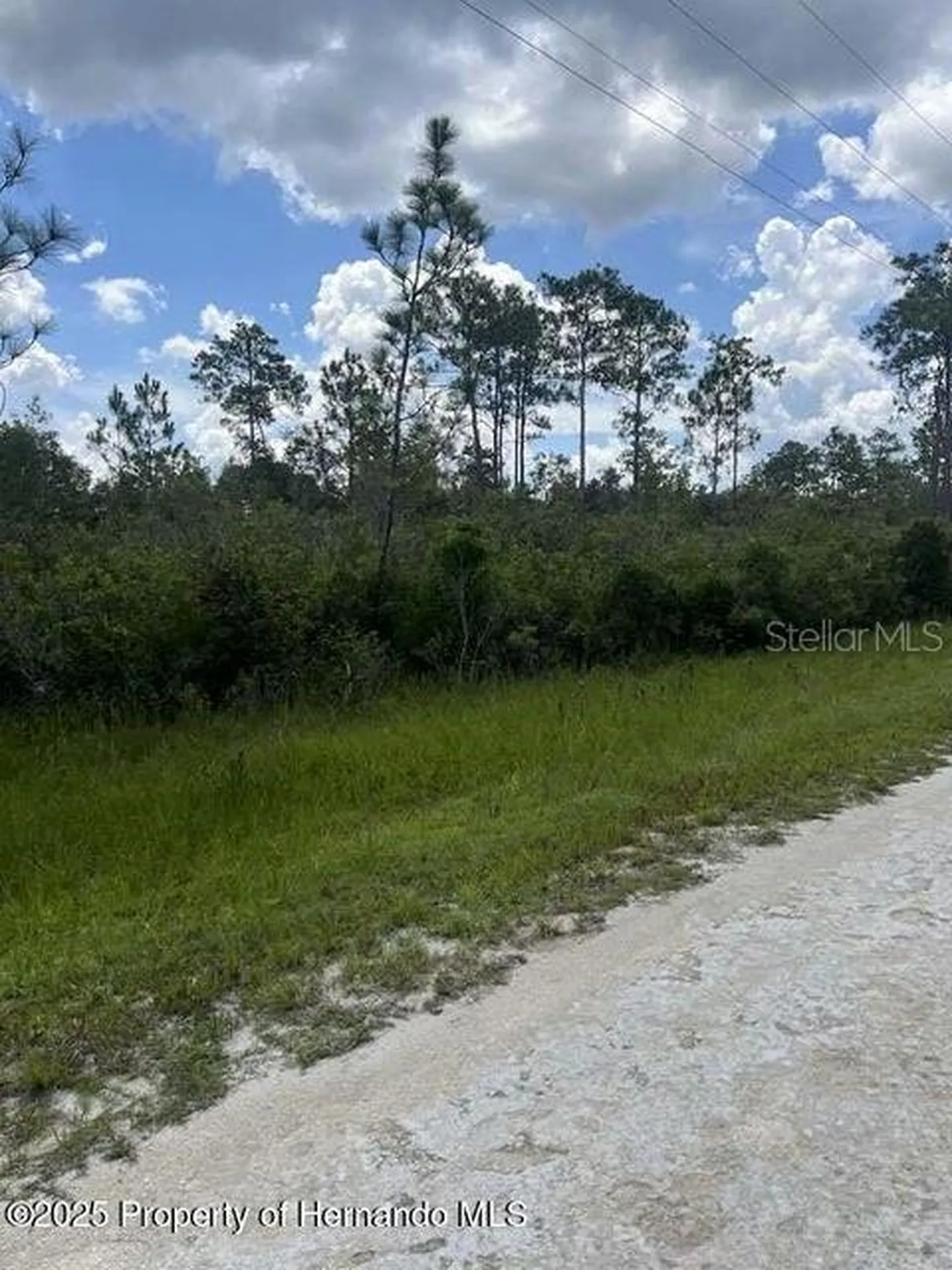 00 Ramsey Road Brooksville FL 34614