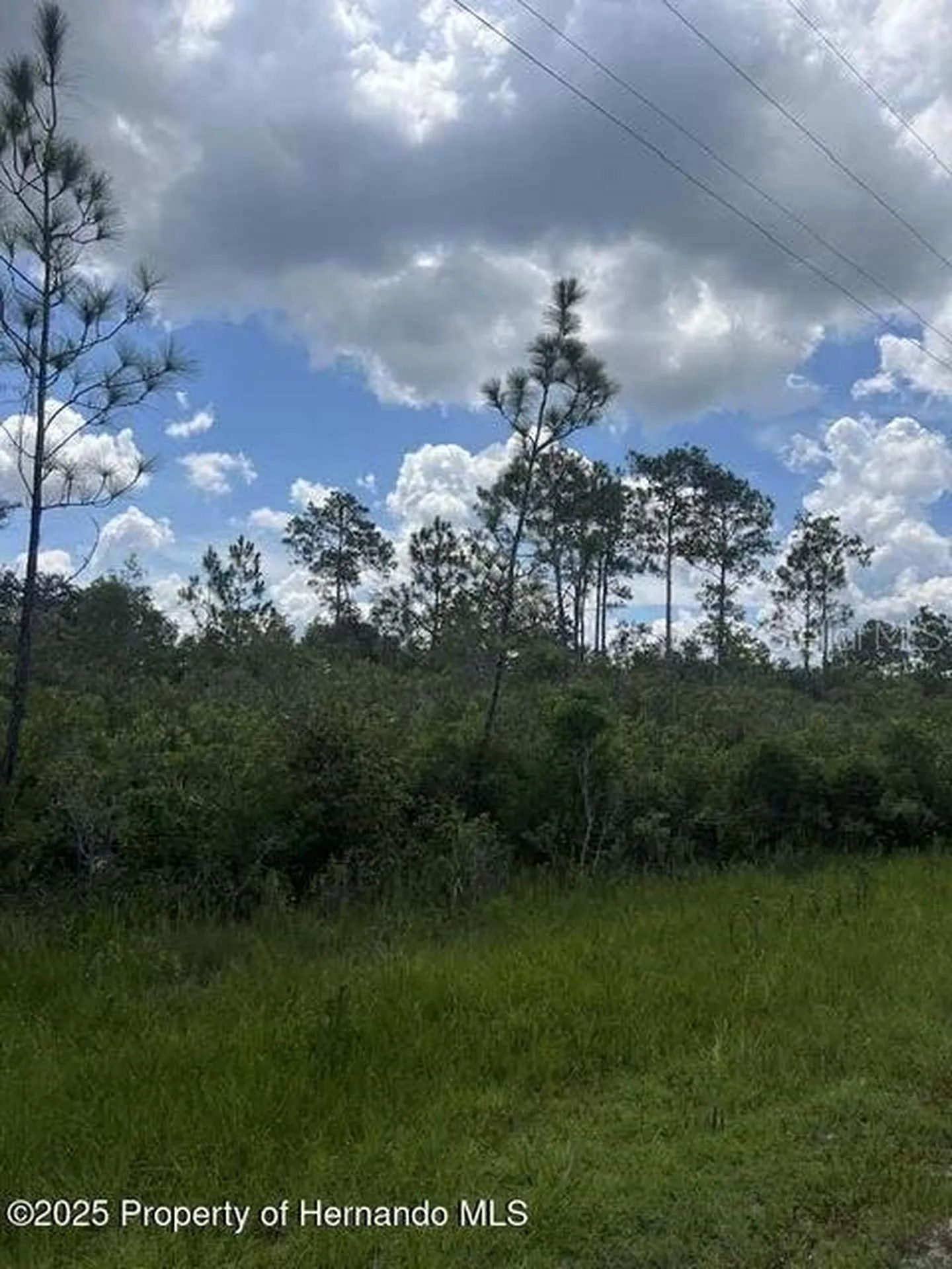 00 Ramsey Road Brooksville FL 34614