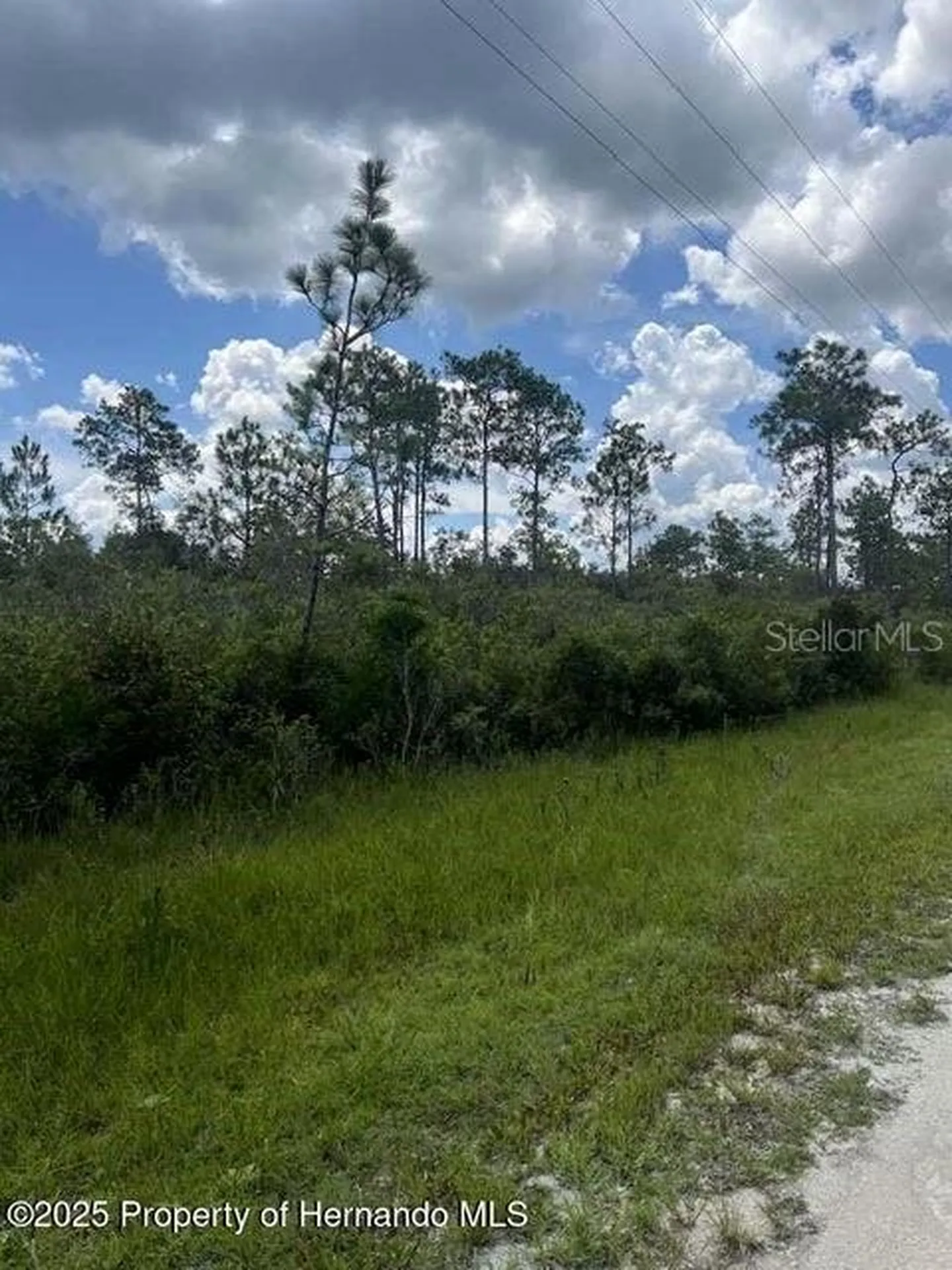00 Ramsey Road Brooksville FL 34614